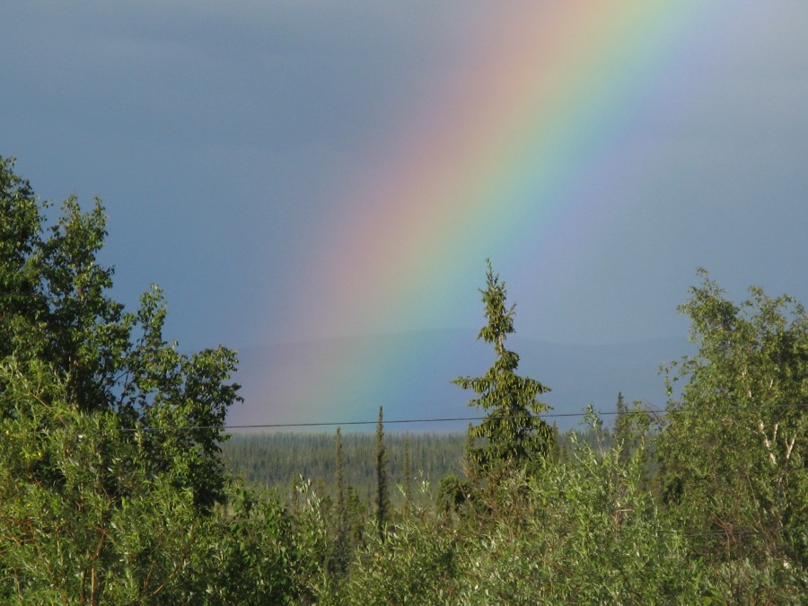 Alaska 27-29Jun2007 Chena Tok CAN Valdez GAT 082